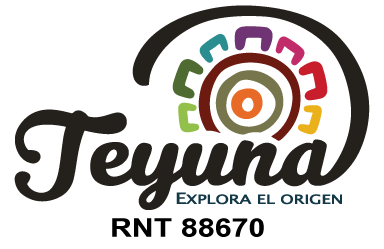 Teyuna Tours logo featuring [describe colors/symbols] - Colombian adventure travel company